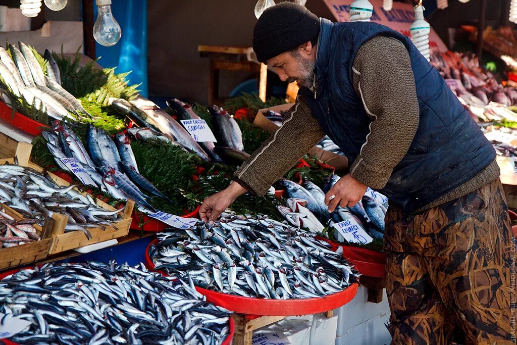 Купили на рынке рыбу. Рыбный рынок. Рыба на рынке. Рыба на базаре. Рыбная Лавка на рынке.