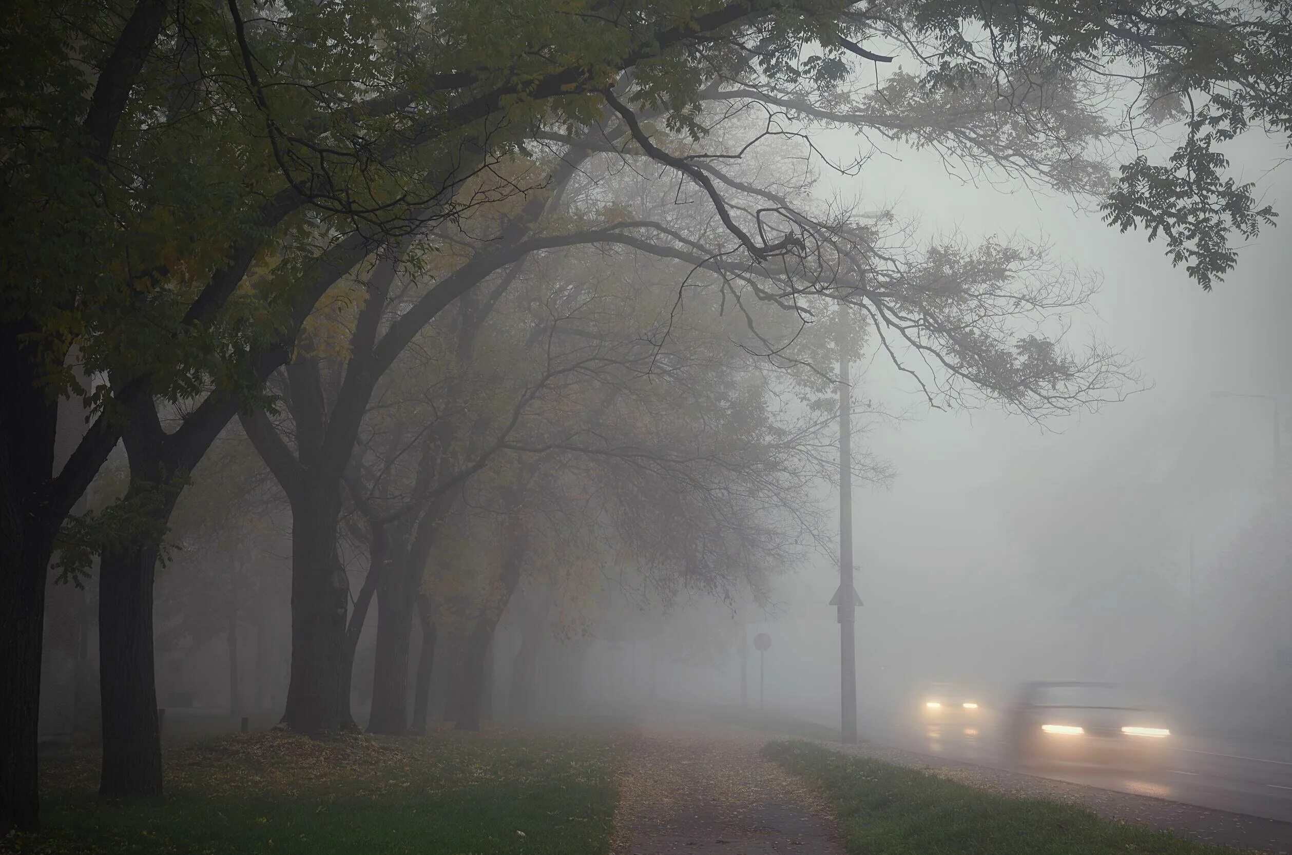 Туман без дождя. Туманный город. Город в тумане. Эстетика тумана в городе. Дождь и туман.