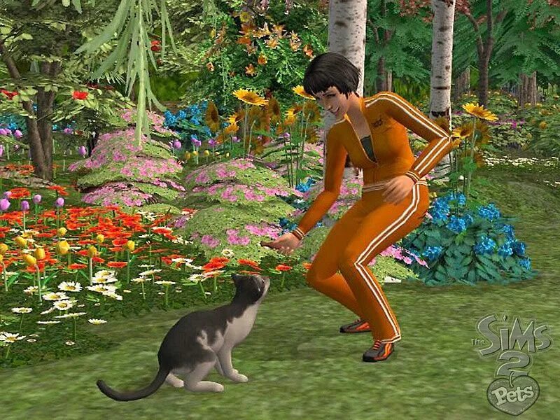 The SIMS 2: питомцы. Симс 2 животные. SIMS 2 дополнение Pets. Игра симс 2 питомцы.