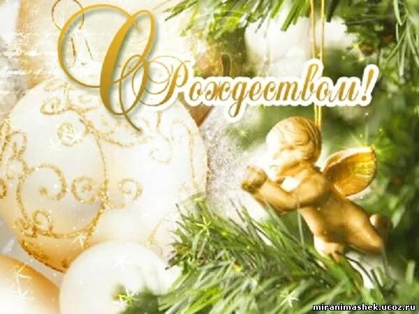Новости и репортажи