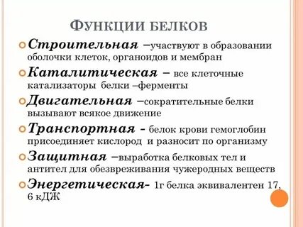 Белок строительный материал для клеток
