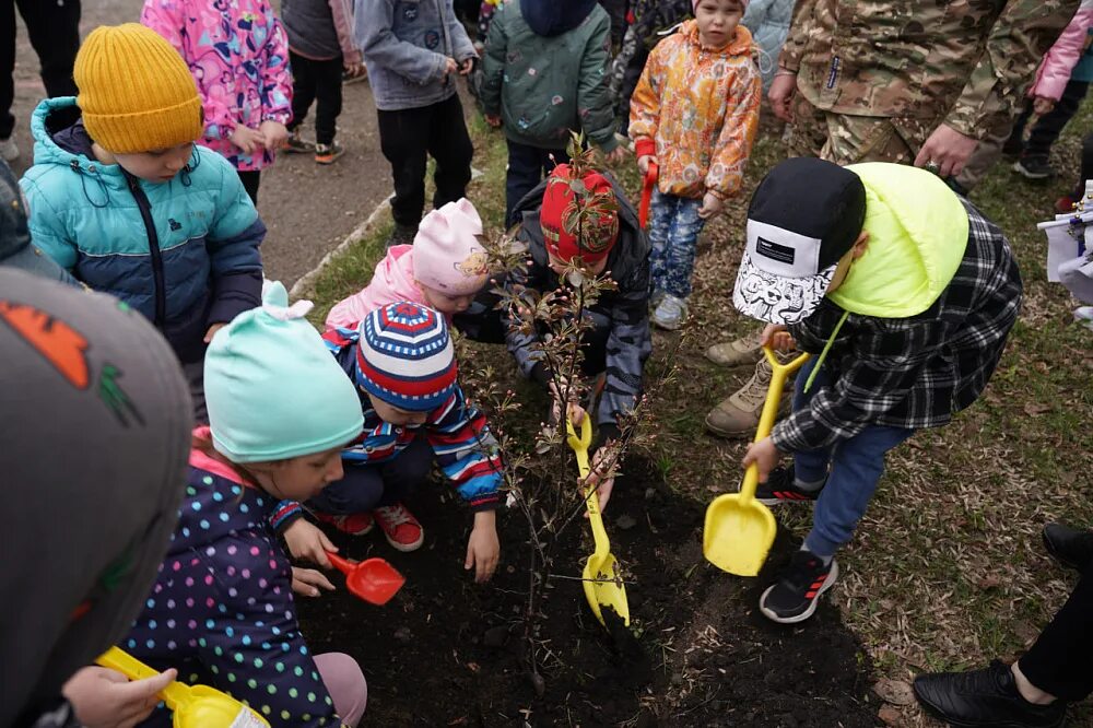 Высадили участника сво. Сад памяти 2023. Посадка деревьев. Экология в детском саду. Акция миллион деревьев.
