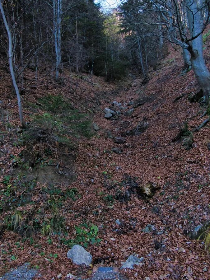 карьерный овраг казань. республиканский ландшафтный заказник мозырские овраги. марьин овраг богородский район. овраг автор. овраг переторги.