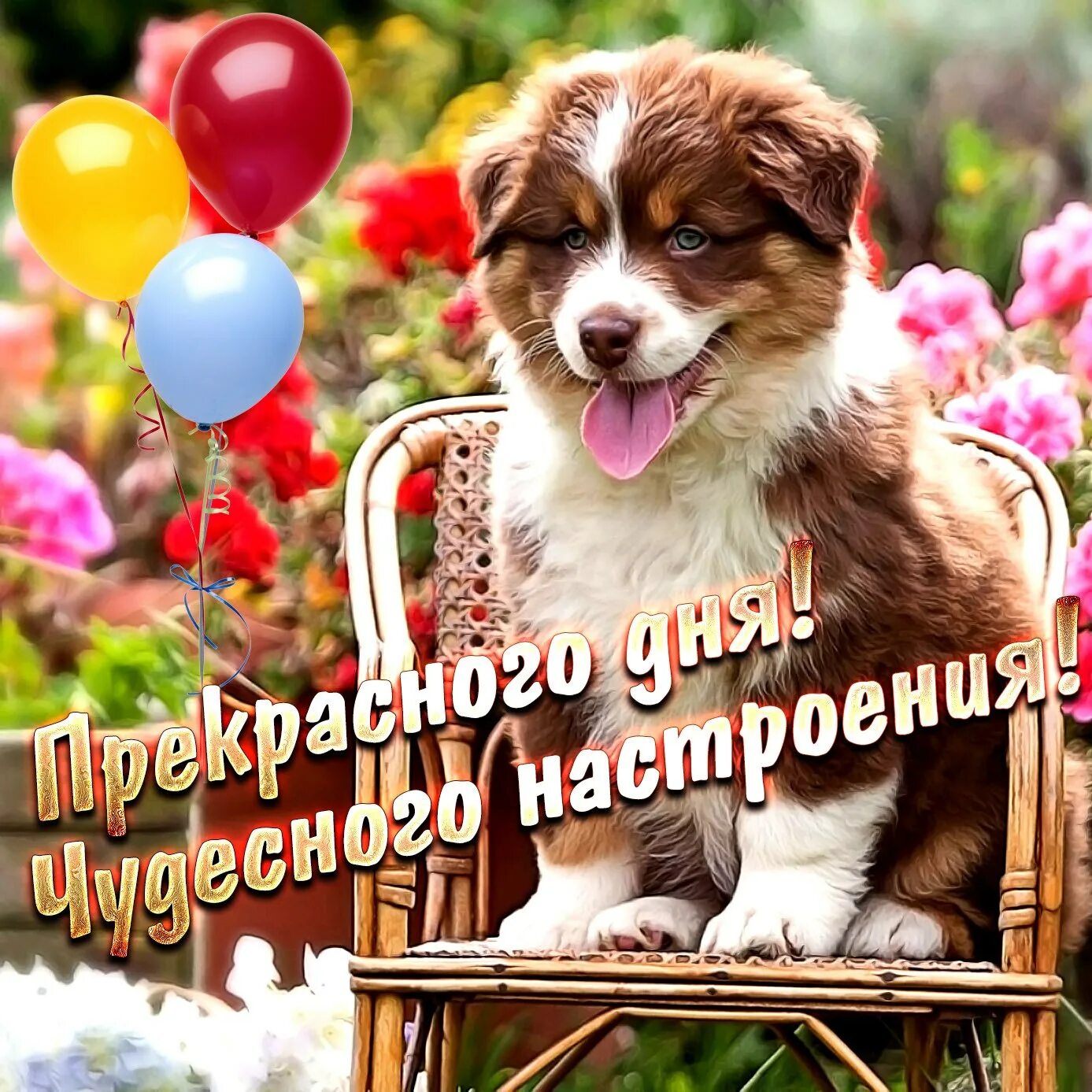 Поздравления с хорошим днем в картинках. Открытки с пожеланиями. Поздравление с пятницей в картинках. Открытка прекрасных выходных. Поздравление чудесный праздник.