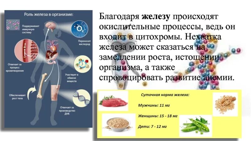 Низкое железо в крови у женщин симптомы. Железо в организме. Железо роль в организме. Профилактика железа в организме. Дефицит железа в организме.