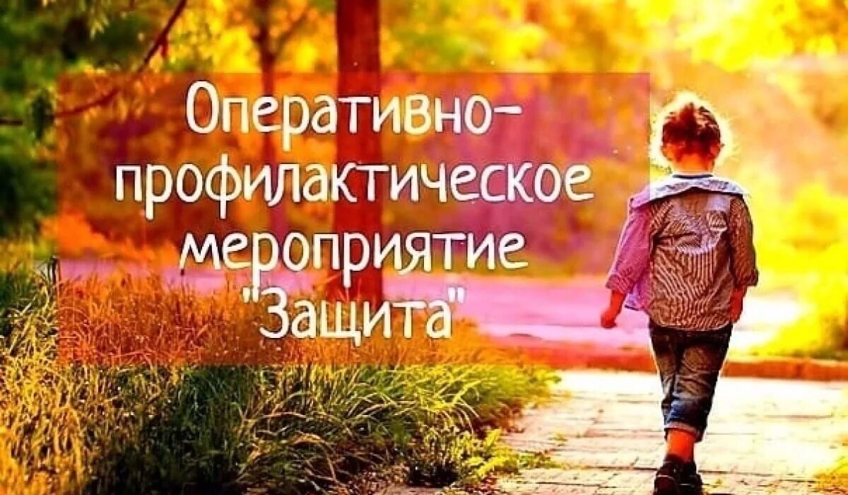 Узм-50ц. Защита бронежилетов бр1 бр2. Двигатель снизу ford focus 2. Защита с1. Форд фокус 2 1.