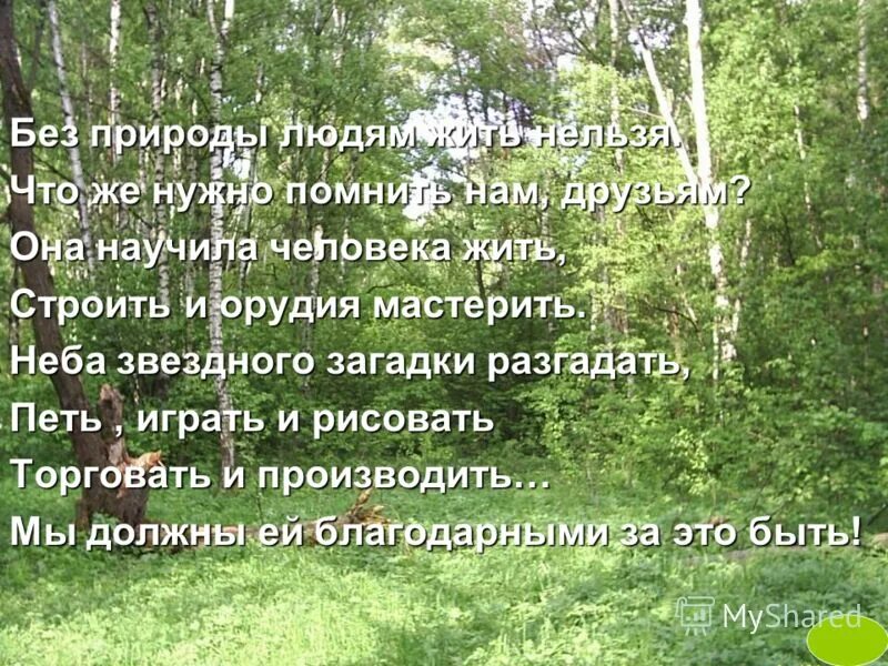 Текст по теме человек и природа. Без природы людям жить нельзя. Человек не может жить без природы. Статья человек и природа. Сможет ли человек жить без природы.