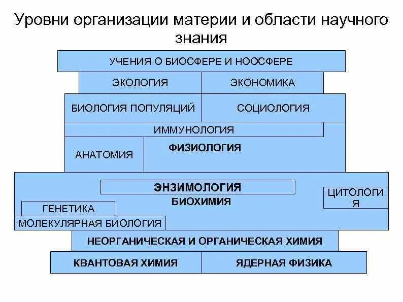 Уровни научного познания таблица. Сферы научного познания. Схема два уровня научного познания. Области научного знания. Различие уровней научного познания