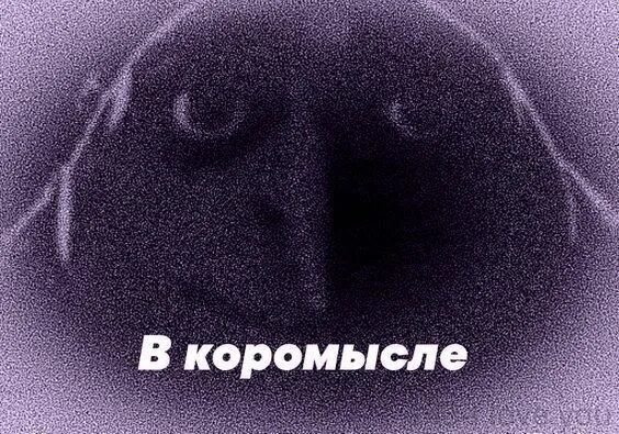 "Ачё всмысле" - мем с котом, какой оригинал, картинка с надписью и без?