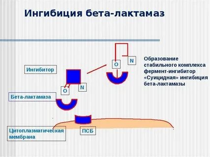 Ингибиция