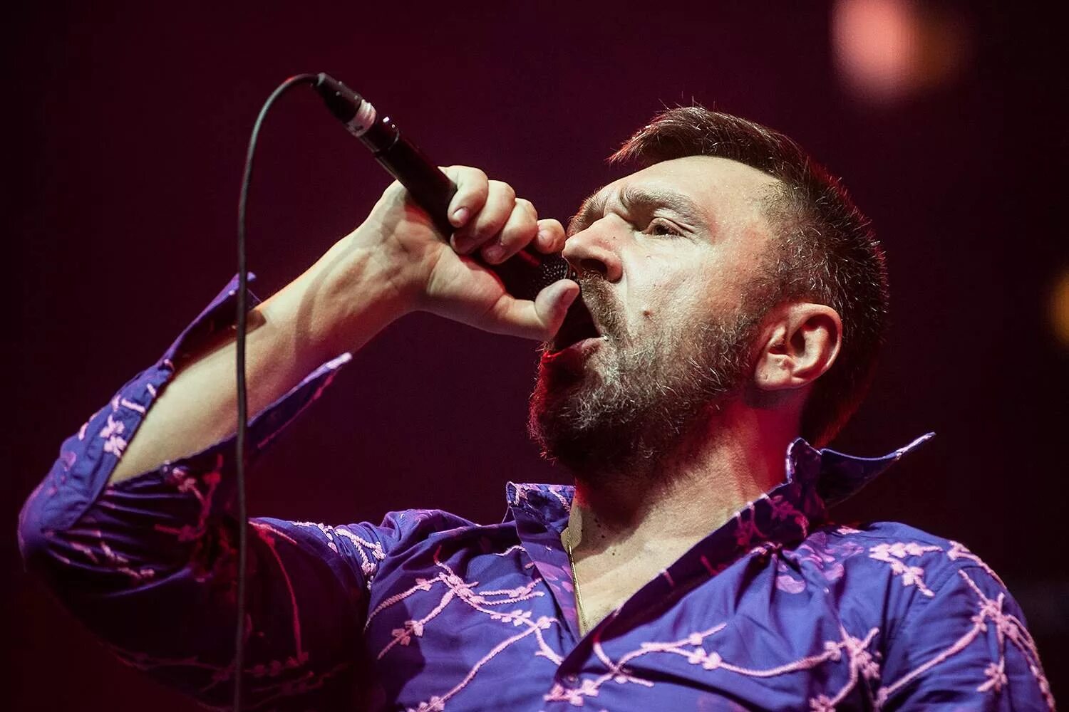 Группировка ленинград 2022. Ленинград слушать лучшее 2023 года. Сергей шнуров и группа ленинград. Группировка ленинград концерт. Шнур группа ленинград.