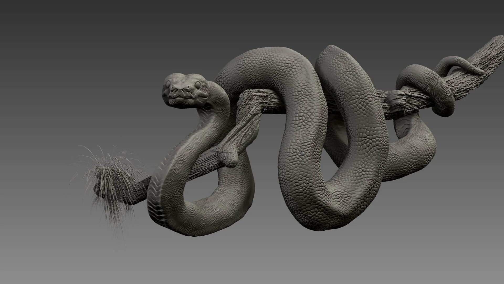 ТИТАНОБОА змея. Змея 3д. Змея обвивает. Змея 3d модель. Анаконда да винчи