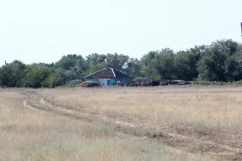 Погода в хуторском зимовниковского