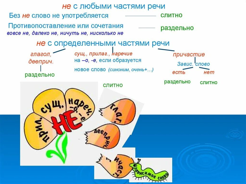 Тест по частям речи 1 класс. Yt c честями речи. Написание не с разными частями речи. Не с разными частями речи рисунок. Русский язык не с разными частями речи.