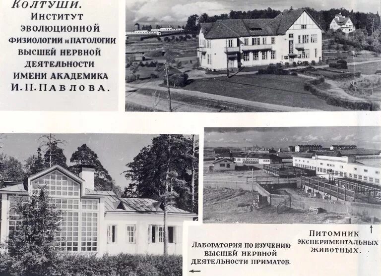 Нии речи