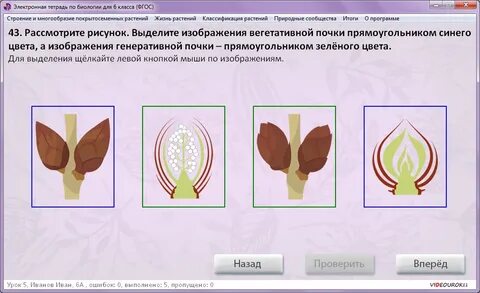 Биология тест побег