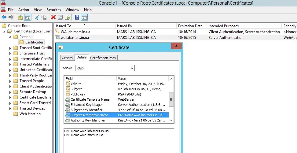Subject alternative name в сертификате. Настройка it. WEBOFFICE система. Local Certification Server. Server cert