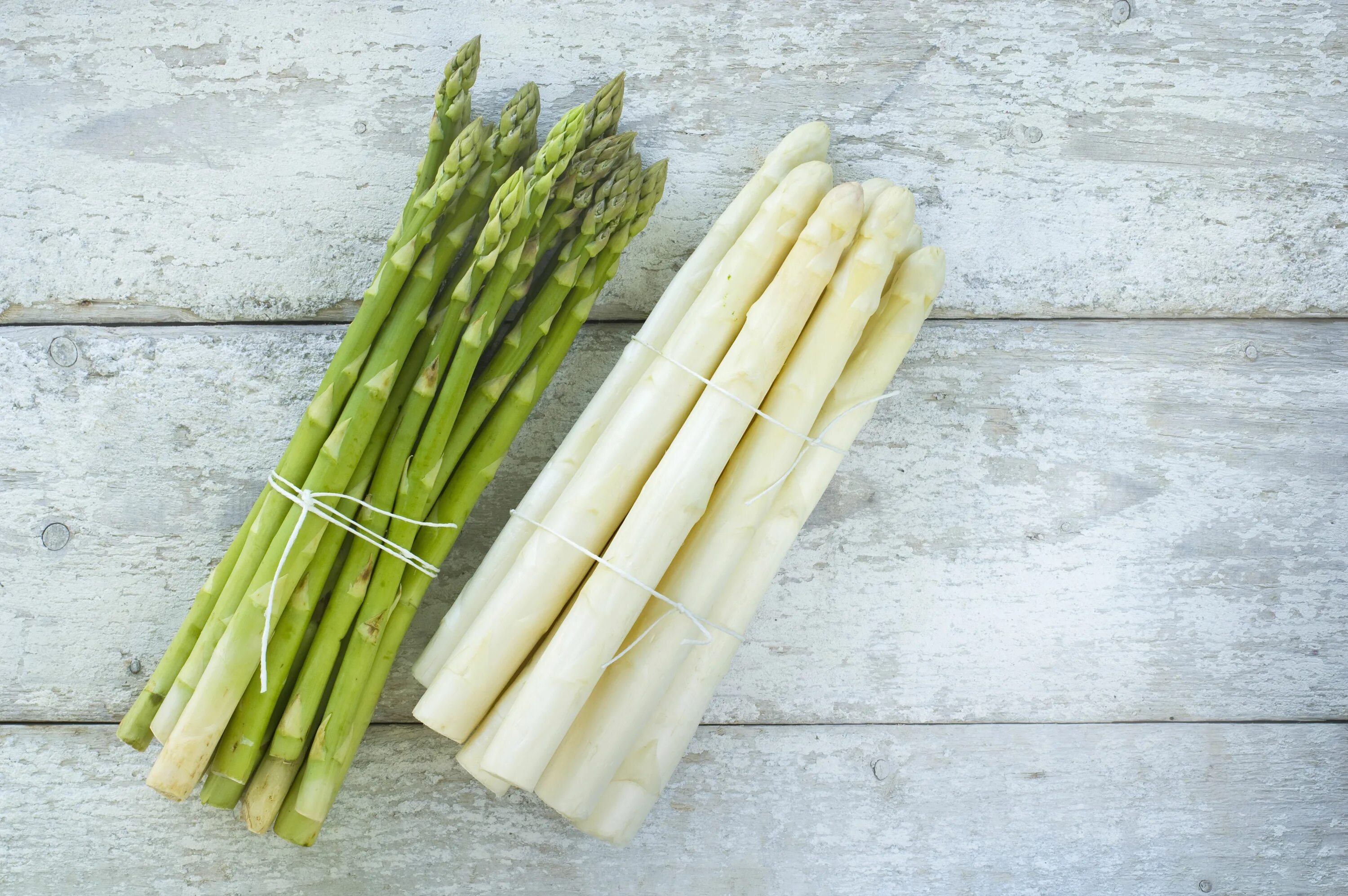 Спаржа (asparagus officinalis). Что такое спаржа и из чего она. Спаржа зеленая. Спаржа зеленая. Спаржа зеленая.