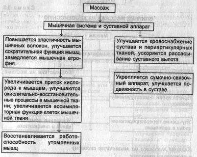 Физиологические основы массажа