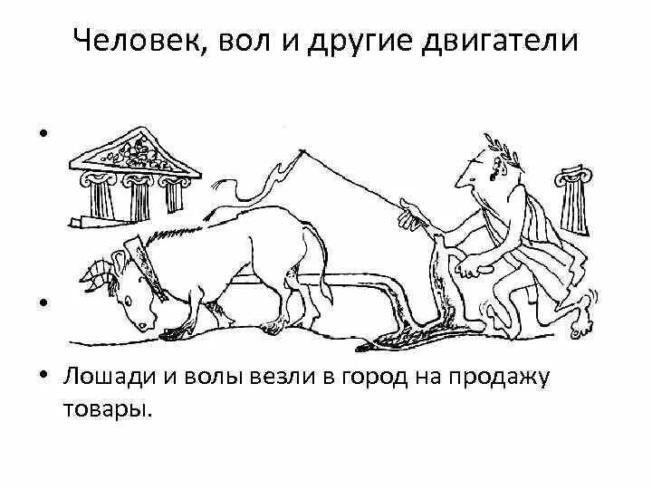 Человек человеку вол. Значение слова вол. Работать как вол. Кто такие валы и волы. Вол это для детей определение.