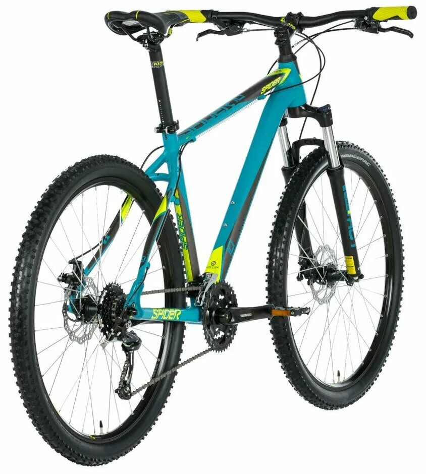 паук крестовик самка и самец фото. Spider 10. бразильский воронковый паук. самый ядовитый паук в мире. паук 7 см.