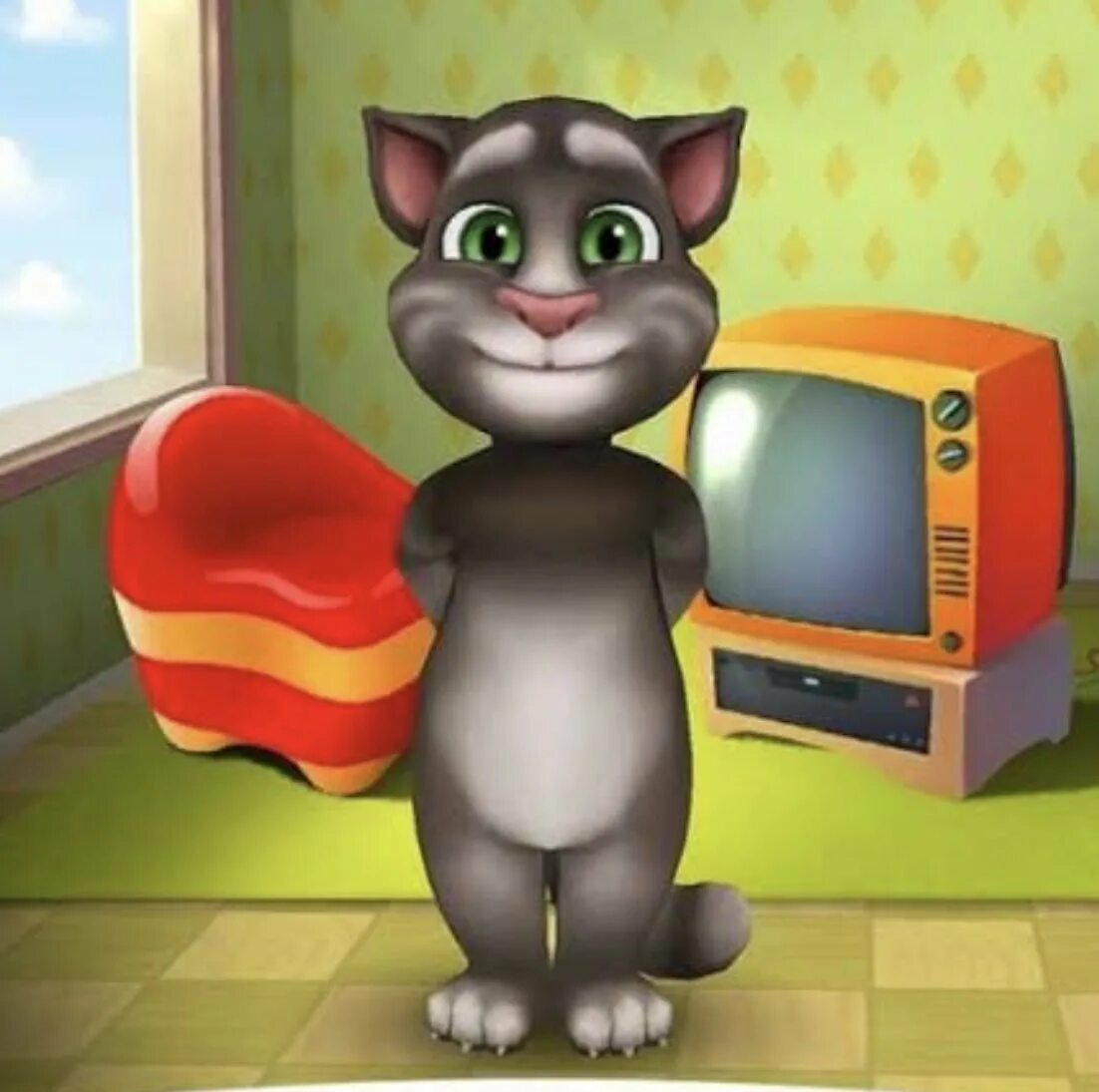 Игры котик том говорящий. Talking Tom. Talking Tom Cat. Тома Тома Тома. My talking Tom Минимульты.