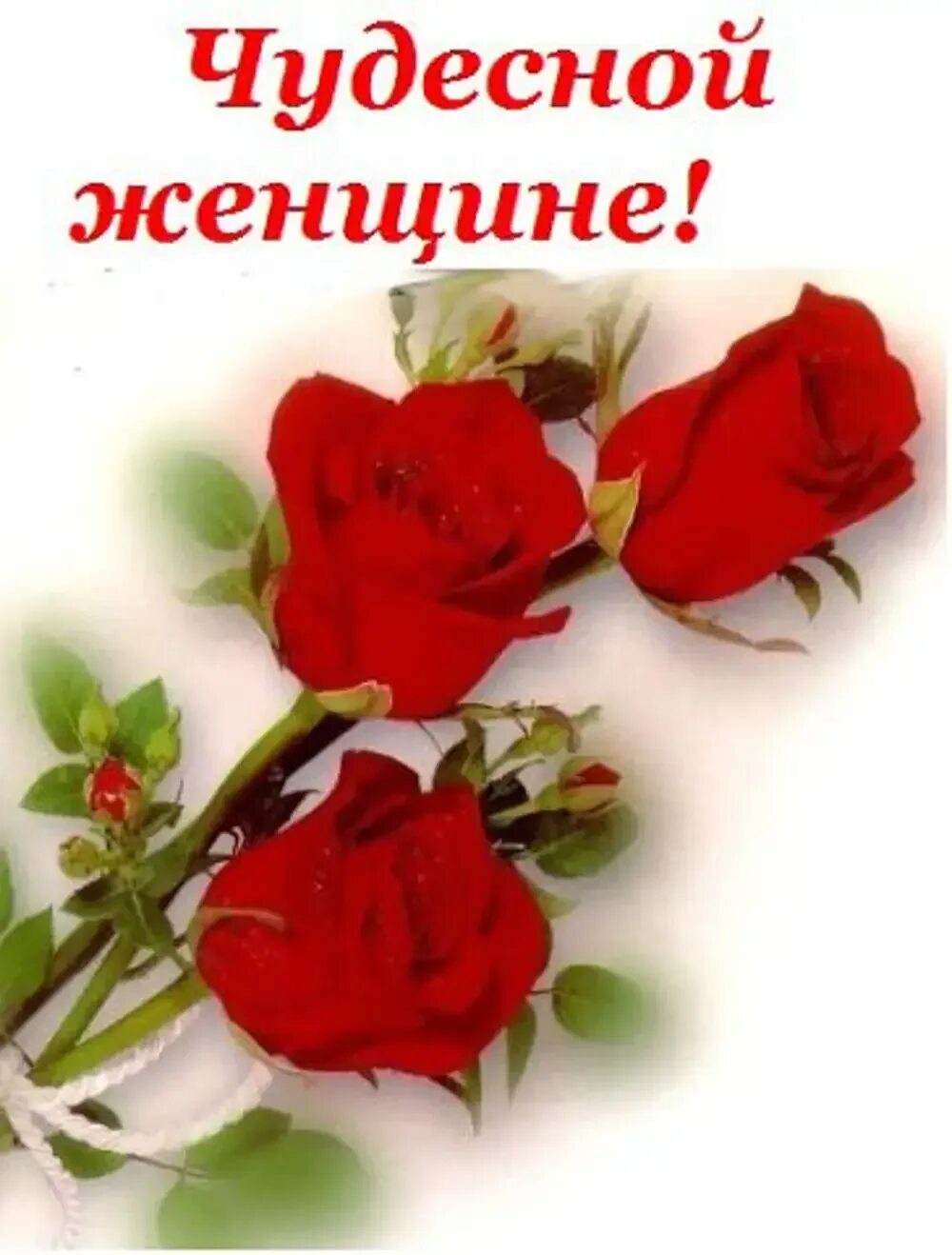 Открытки с комплиментами женщине. Открытки красивой девушке комплименты. Комплимент девушке на фото. Комментарий хорошей женщине. Красотка открытки красивые.