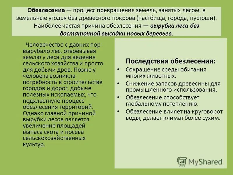 причины истребления. гибель тропических лесов причины и последствия. уничтожение лесов причины. уничтожение лесов причины и пути решения. пути решения исчезновения тропических лесов.