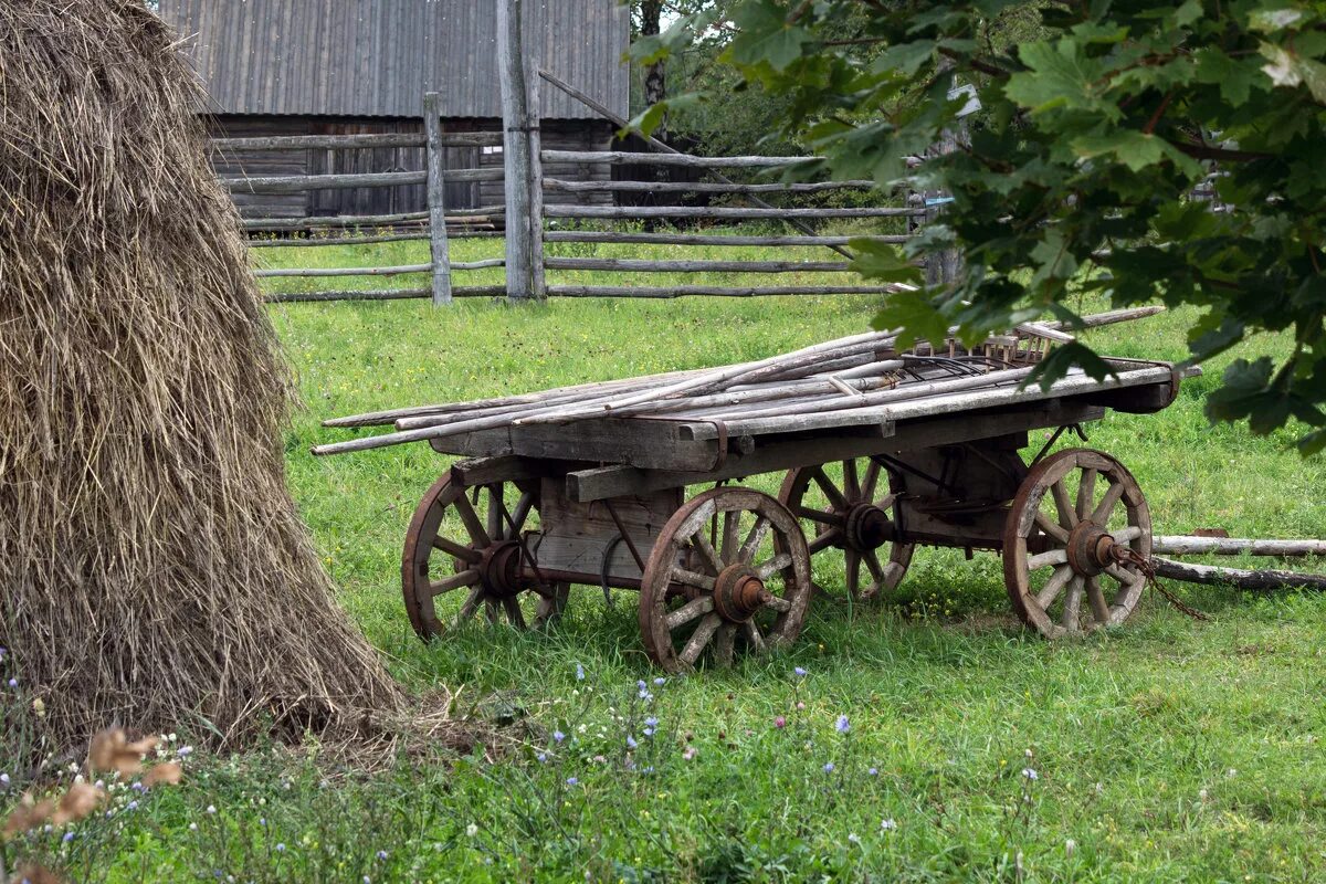 человек в телеге. телега с лошадью. телега с лошадью. повозка с лошадью. ослик с повозкой.