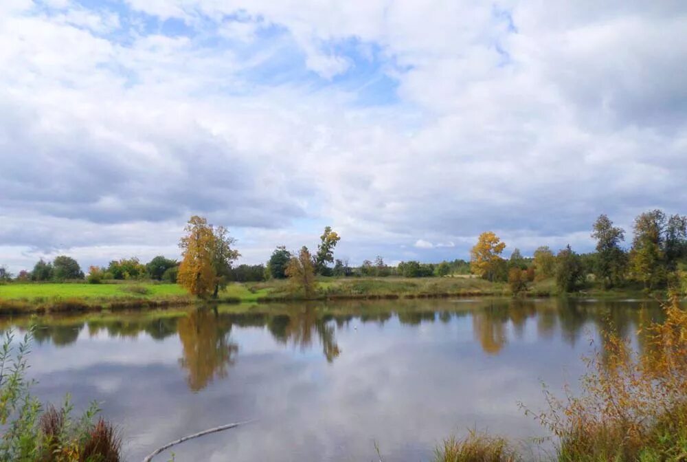 Щучье озеро пермь. Щучье озеро комарово. Щучье озеро пермский край октябрьский район. Станция щучье озеро пермский край. Щучье озеро пермь.