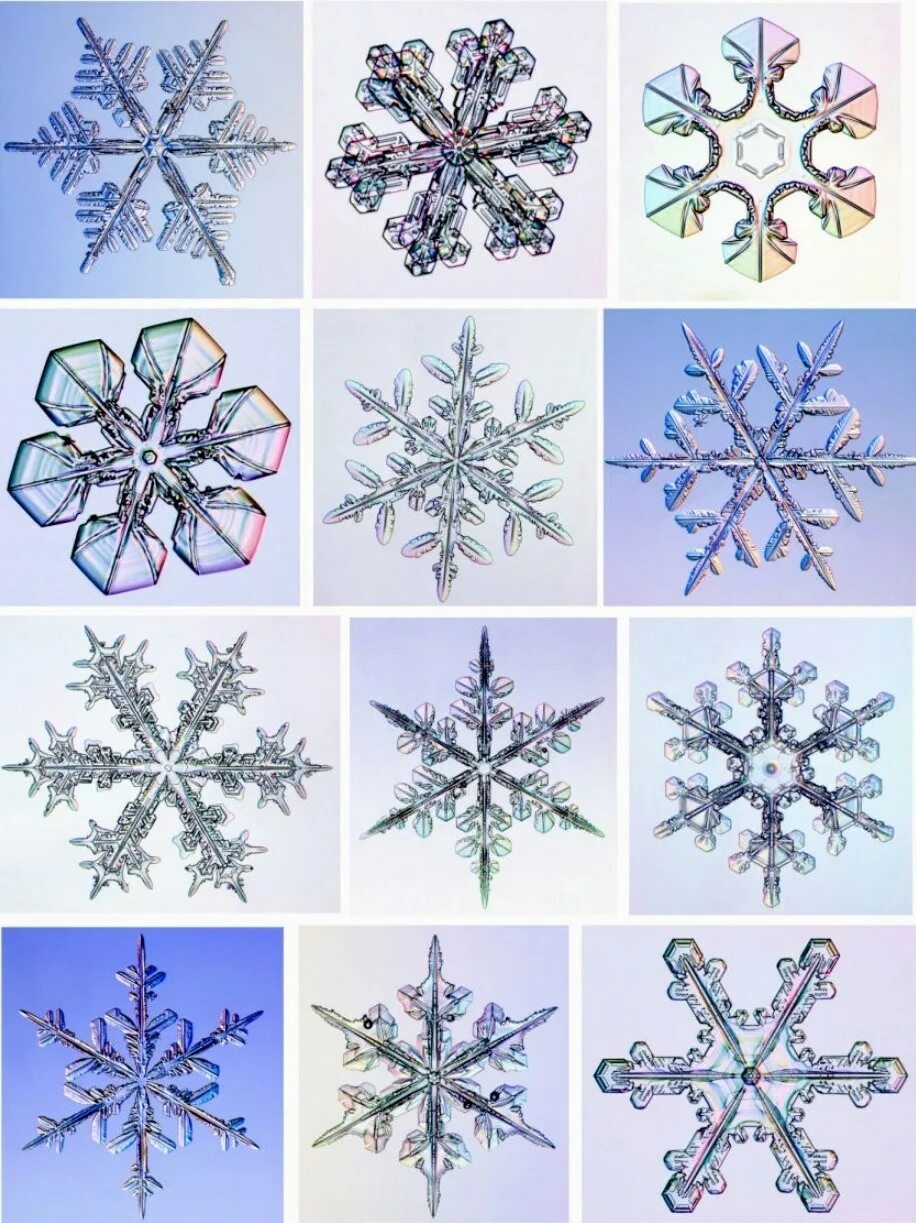 Какие бывают виды снежинок. Формы снежинок в природе с названиями. Снежинки разной формы. Одинаковые снежинки существуют. Формы снежинок.