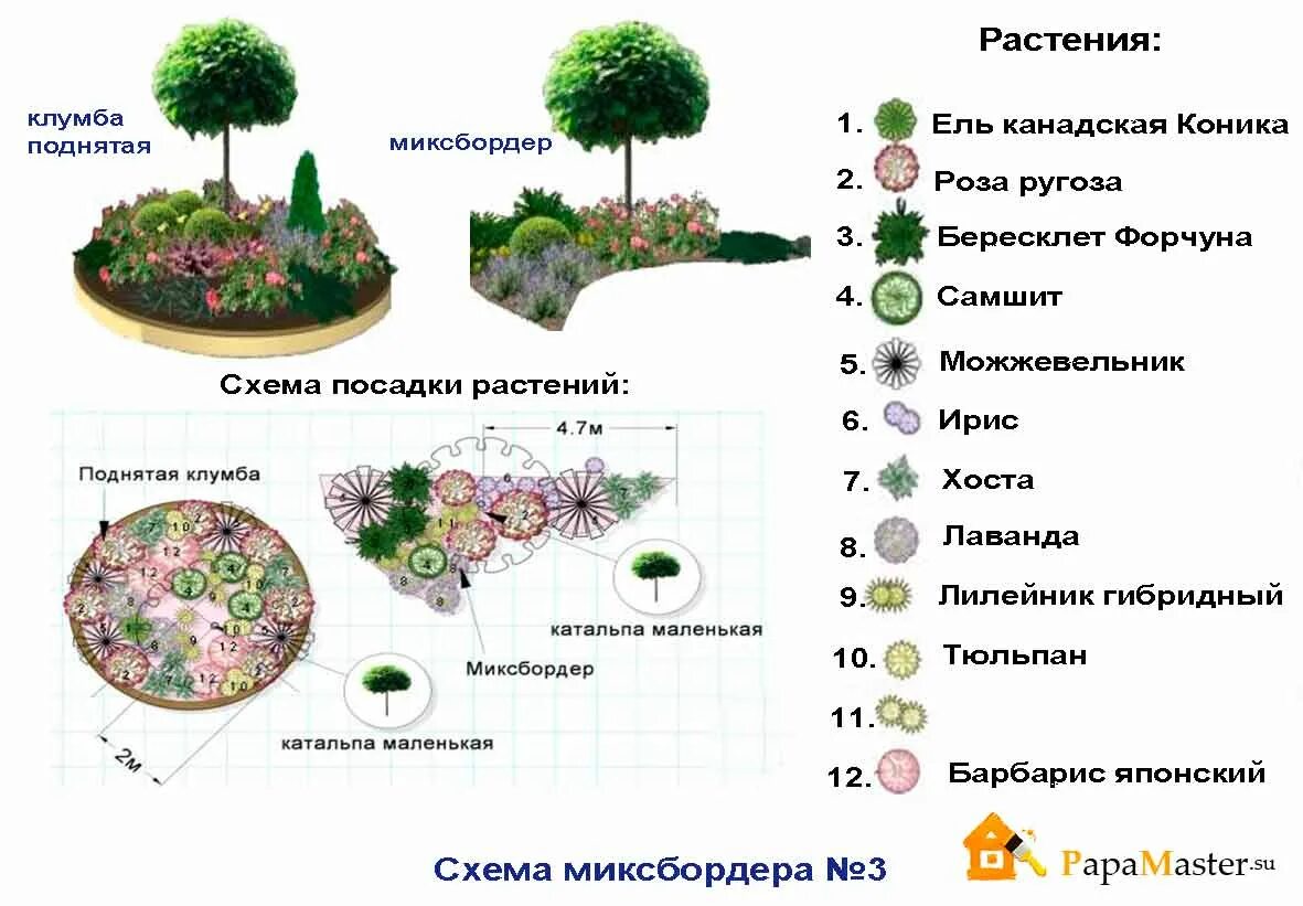 Хвойные схема. Клумбы миксбордеры схема. Миксбордер из хвойных и многолетников схемы. Миксбордер из хвойных и многолетников схемы и названия. Схема цветника миксбордера.