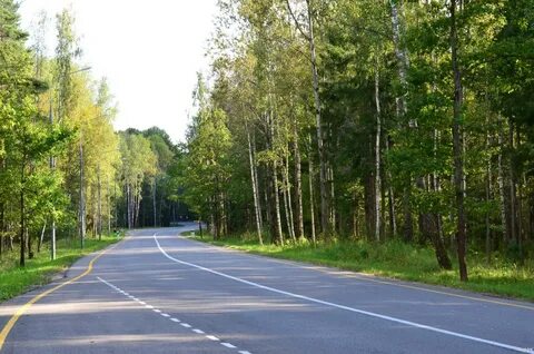 Открыли ли лесную