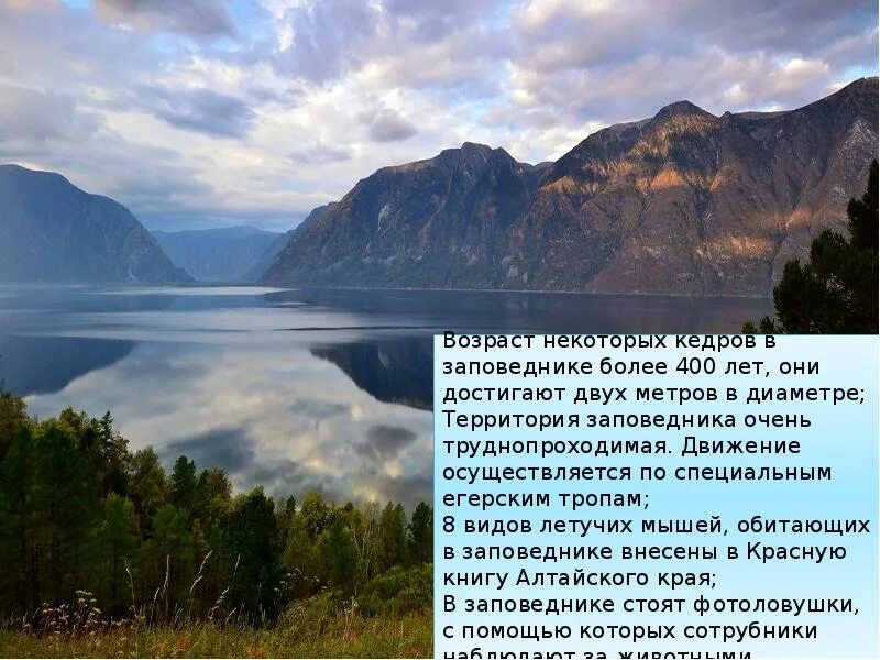 Презентация на тему "Охрана и рациональное использование животного мира" - скача