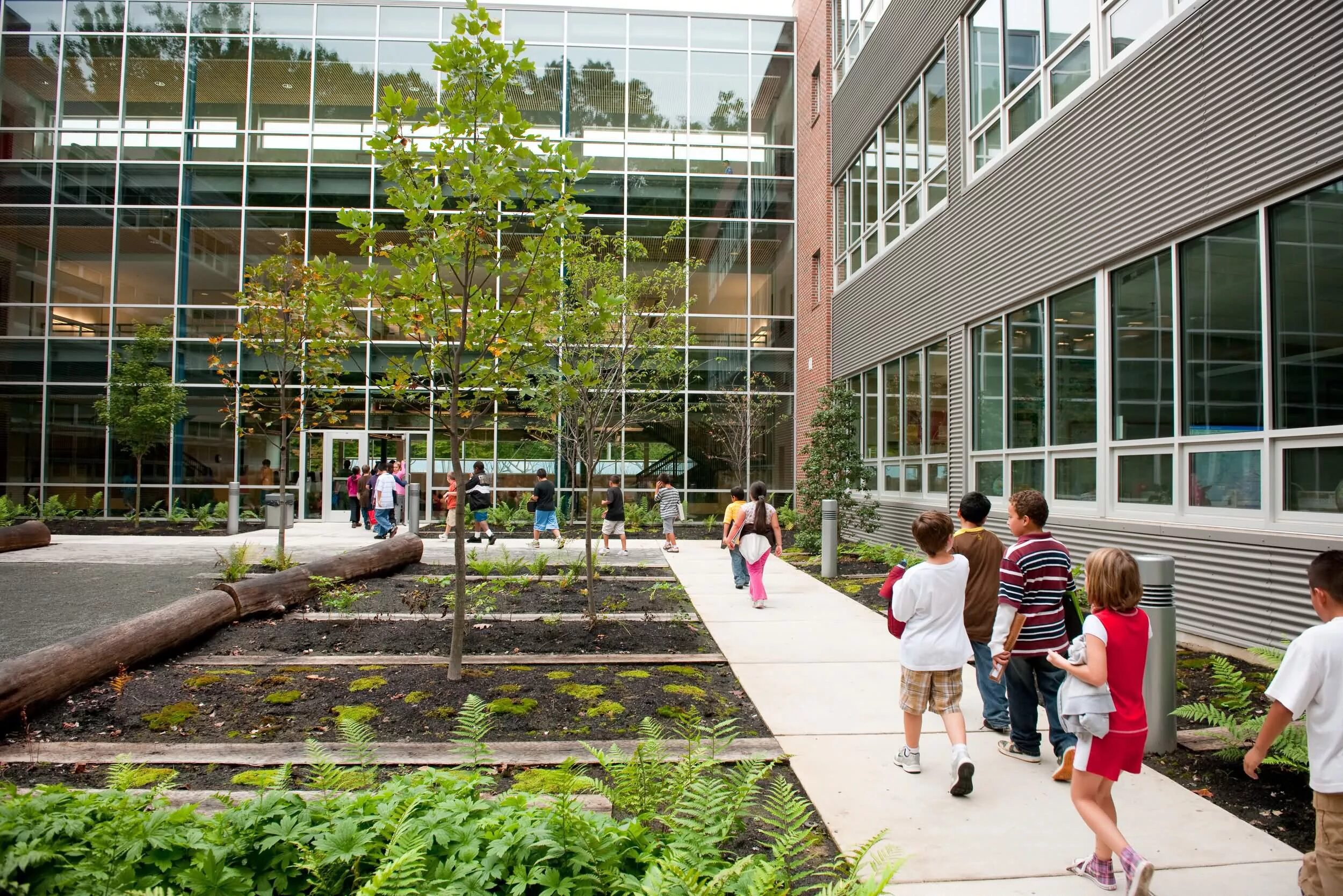 Park school. Manassas Park Elementary School амфитеатр. Школа Грин парк. Школа сад. Зеленые школы в Америке.