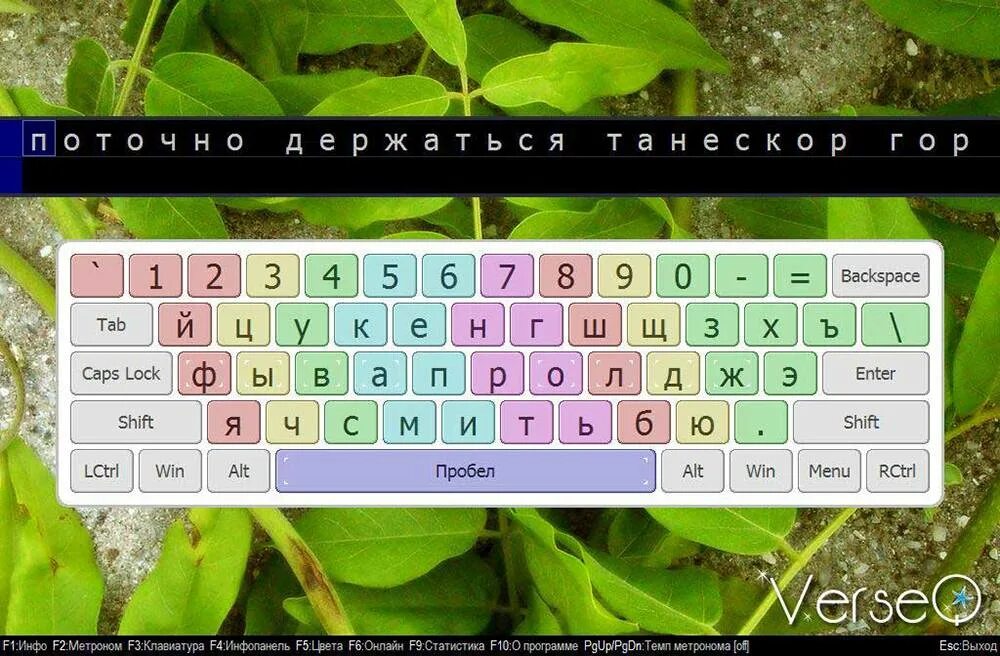 Программа для обучения быстрой печати на клавиатуре. Клавиатурный тренажер verseq. verseq тренажер клавиатуры. verseq слепая печать. программа для слепой печати на клавиатуре.