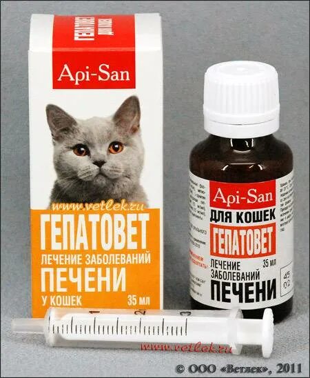 Можно ли давать коту сырую печень. Лекарство для печени для кошек. лечение печени у кошек. препарат для кошек с больной печенью.