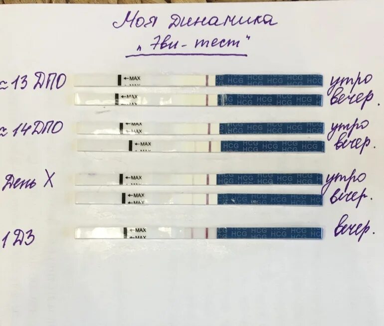 Какой был хгч после переноса. Тест на ХГЧ. Динамика тестов и ХГЧ пятидневка. Рост ХГЧ ДПП. Динамика ХГЧ для пятидневок.