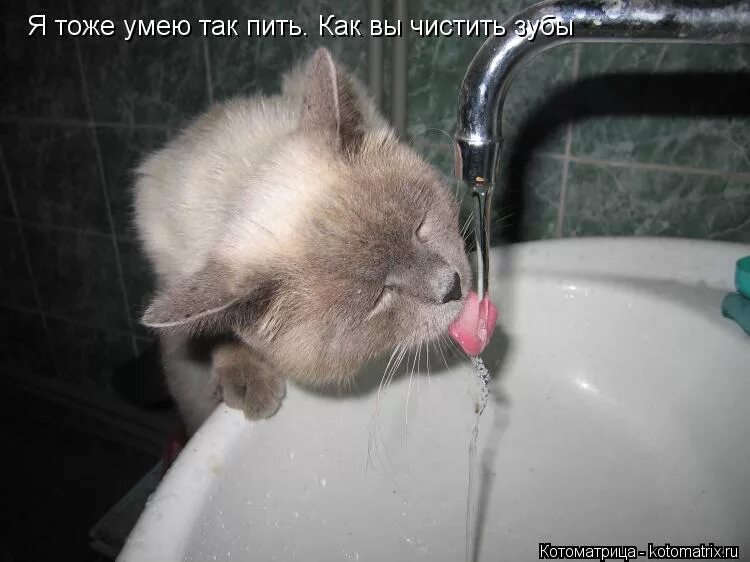 Алло это салон интимных услуг?. А мужчины ведь тоже умеют. Мужчины тоже плачут. Оставив меня и ребенка. Дети и животные цитаты.