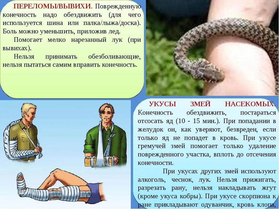 При укусе змеи запрещается. Конечность после укуса змеи. первая помощь при укусе ядовитой змеи.