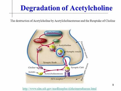 Degradation