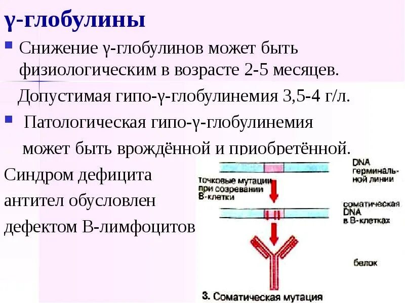 Снижение глобулинов