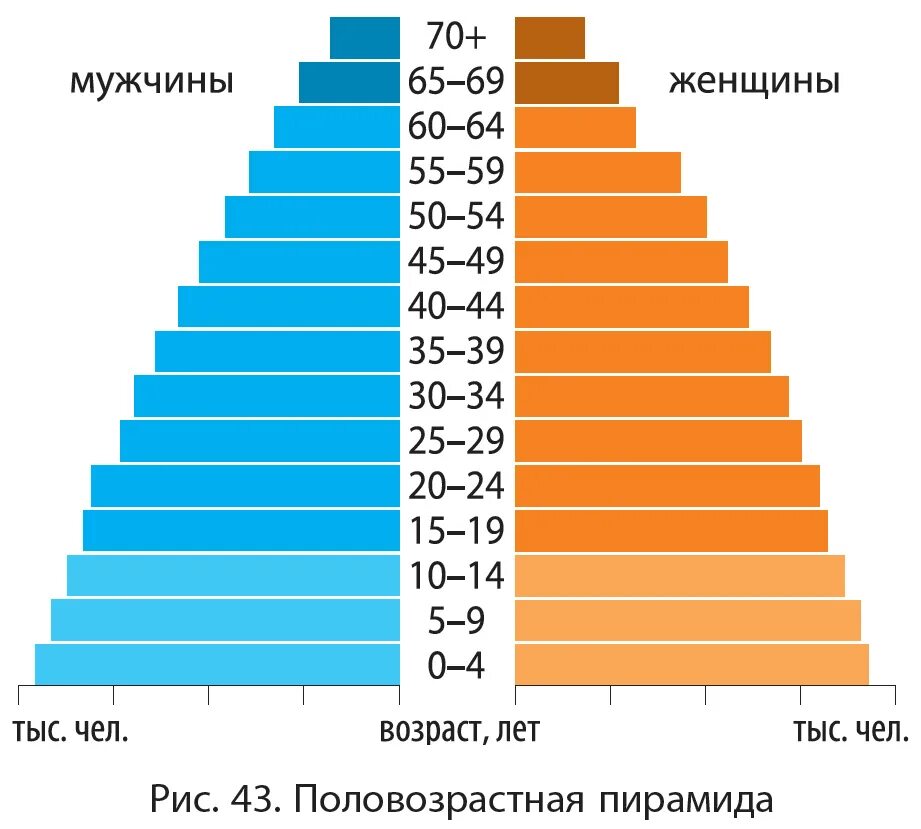 Коэффициент возраста мужчины