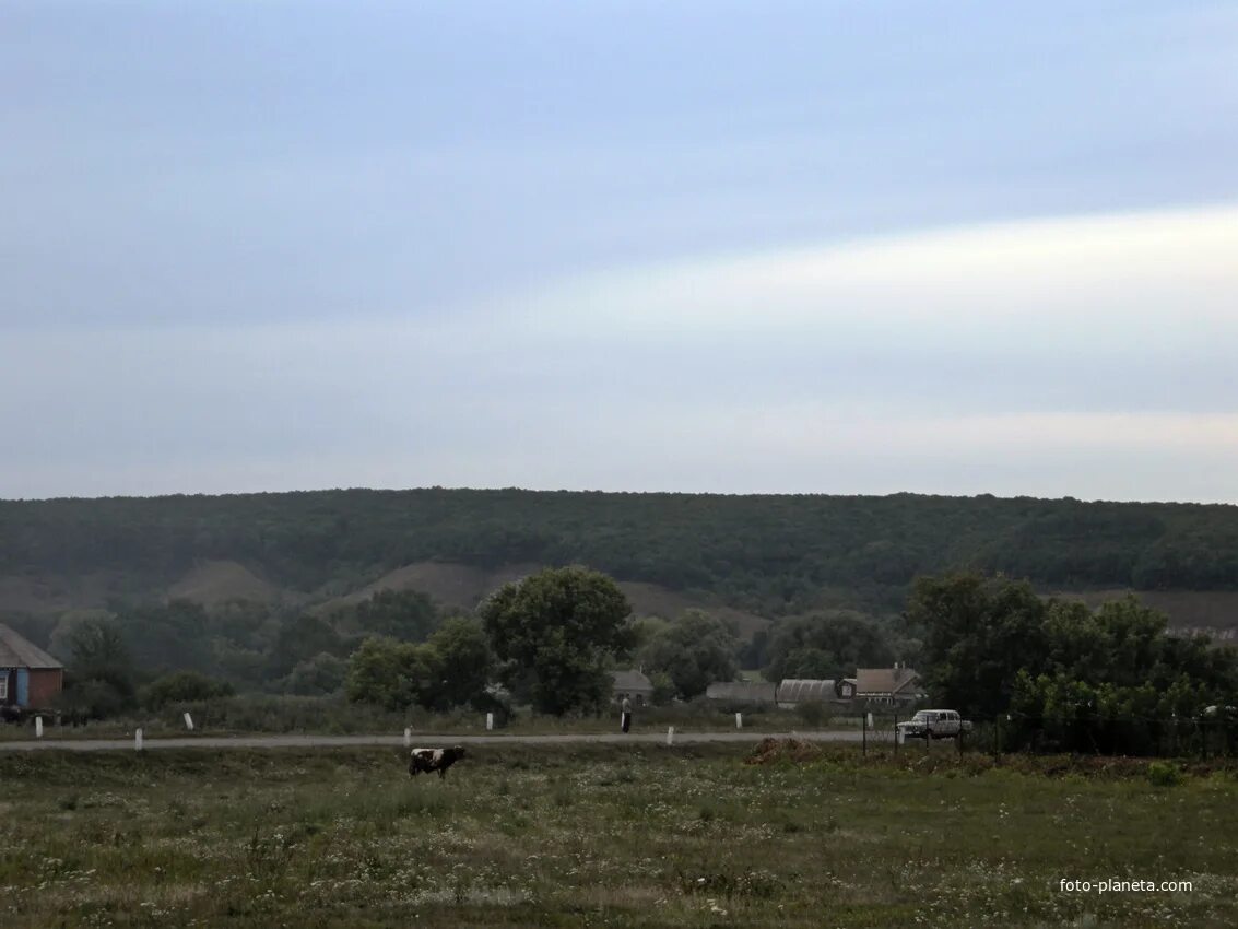 Село Сурково Шебекинский район. Село Сурково Шебекинский район Белгородской области. Середа Белгородская область Шебекинский район. Шебекино Сурково. Погода в подколодновке