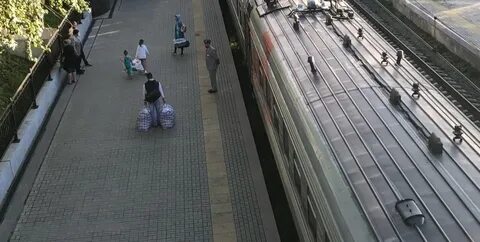С какого числа поезд мурманск анапа
