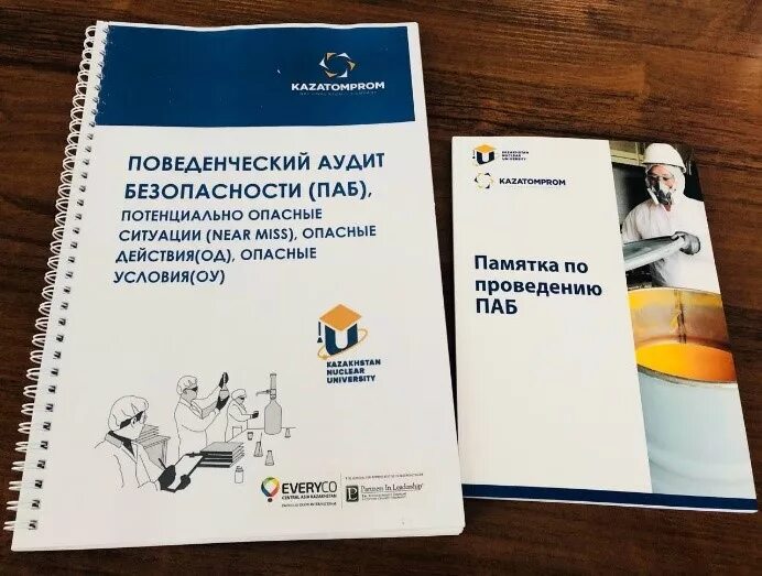 Аудит по охране. Поведенческий аудит по охране труда.