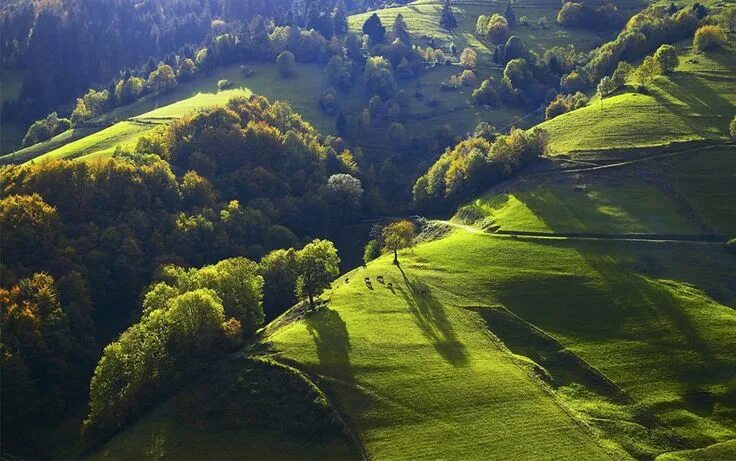 Файл:Blick auf Todtmoos.jpg - Википедия