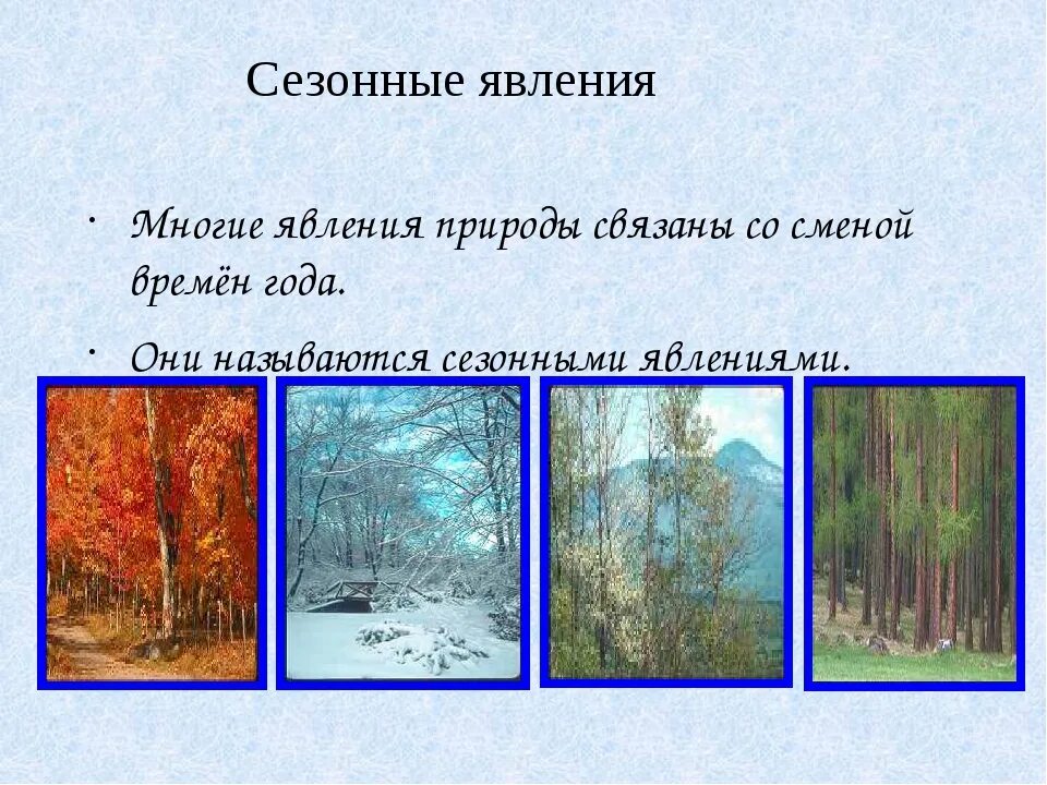 Явления времен года. Сезонные явления. сезонные природные явления. сезонные природные явления 2 класс. сезонные явления в природе картины.