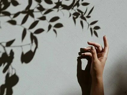 Wall of shadow