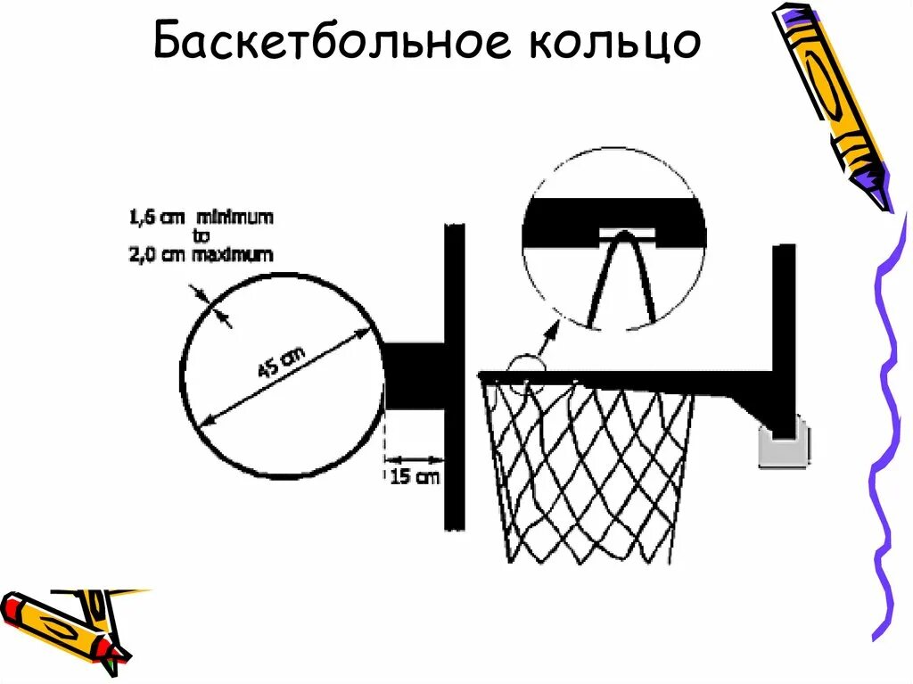 Баскетбольное кольцо находится на высоте